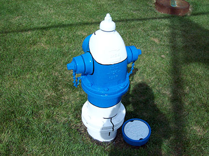 Smurf Hydrant from behind- 1415 S. Ardmore (2)